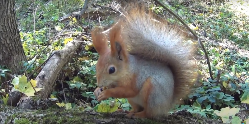 10 самых красивых пеших маршрутов по России