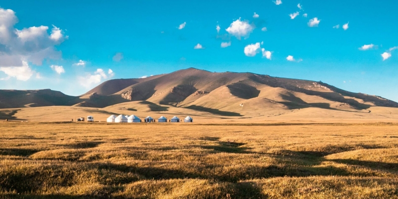 9 необычных видов туризма: что попробовать, если надоели обзорные экскурсии